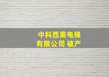 中科西奥电梯有限公司 破产